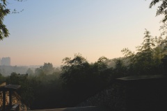 It was nice and cool as the morning mist rose.