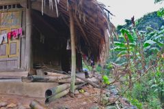 The roof is made from palm leaves