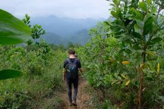 Walking through a farm on the hills