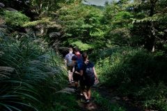 Our hike took us through many step climbs up and down