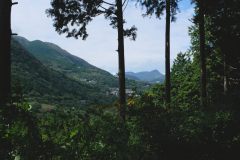 The view from the trail