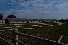 One of the cow sheds
