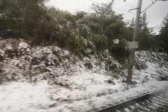 Winter shows a few signs