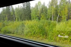 The view from the train window. Mostly forest unfortunately.