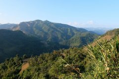Mountains in south east asia are much greener than ours