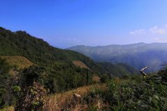 The clear patches are where trees were removed for mountain rice.