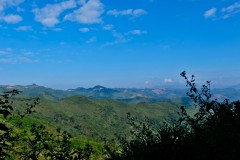 Above the jungle