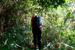 Mirjam in the jungle