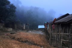 The morning was quite hazy as the dew began to evaporate