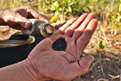 Self made gunpowder for the rifle