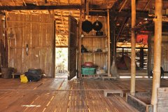 The bamboo under the warm sunlight was very cozy