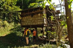 Rice field worker shelter