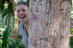 Laughy Tree