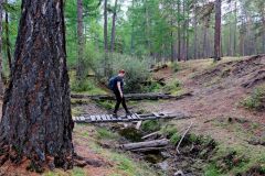 Bear Grylls, eat your heart out