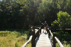 Unfortunately the trail died just around he corner