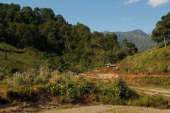 The end of our hike. The residents of that house looked at us strangely as we approached