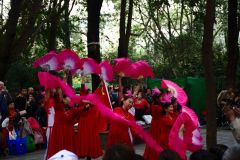 There were many various performances in the park.