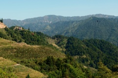 The hike was mostly through terraced hills like this