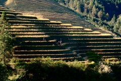 The view from our hostel