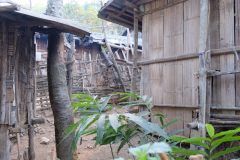 The walls are made of bamboo strips