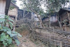 Narrow paths like this delineated the houses